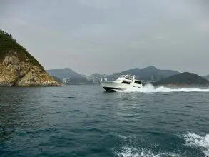 Thumbnail von Viking 54 Sport Coupe 9275778