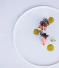 Thumbnail von Sunreef 60 SINATA