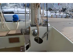 Thumbnail von Amel Mango 52