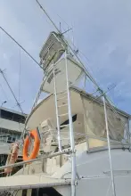 Thumbnail von Bertram 54 Convertible 9264172