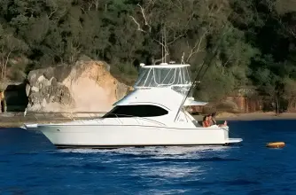 Thumbnail von Riviera 37 Flybridge 7692662