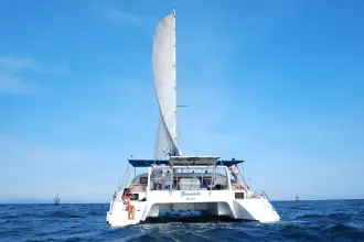 Thumbnail von Kelsall 46 9505376