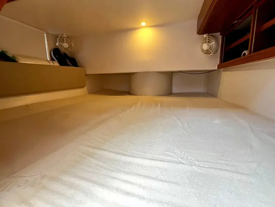 Thumbnail von Dragonfly 32 Supreme