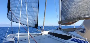 Thumbnail von Dragonfly 32 Supreme