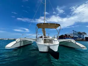 Thumbnail von Dragonfly 32 Supreme