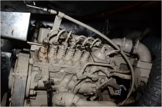 Thumbnail von Custom 55