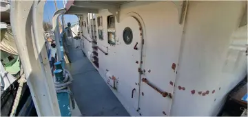 Thumbnail von Custom Ziegler Frers Tug