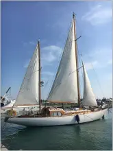 Thumbnail von Custom 54