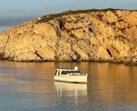 Thumbnail von Greenline 33 Hybrid