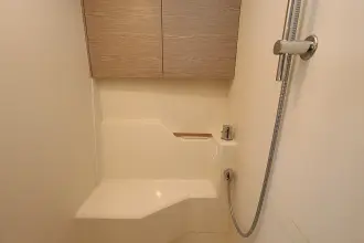 Thumbnail von Hanse 588 Natural Mystic