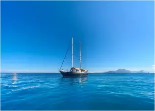Alaver Seagle 55
