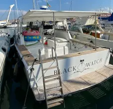 Thumbnail von Black Watch 30