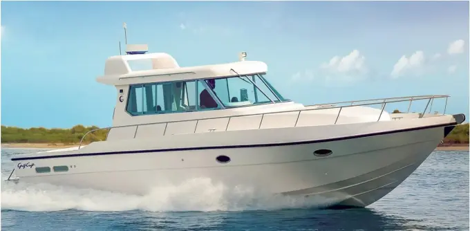 SilverCat 40 CC 8267135