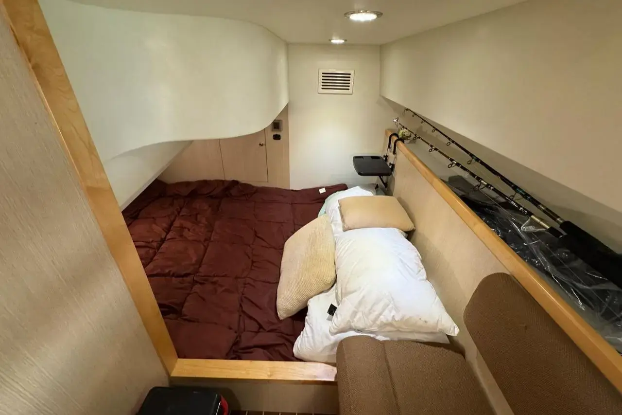 Thumbnail von SilverCat 40 CC 8267135