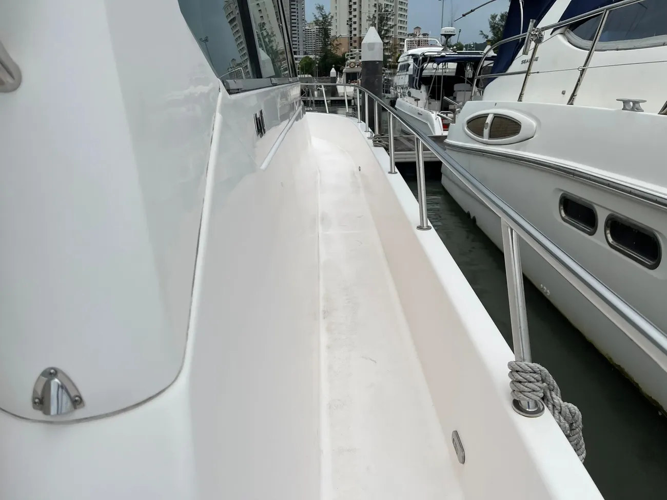 Thumbnail von SilverCat 40 CC 8267135