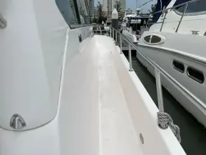 Thumbnail von SilverCat 40 CC 8267135