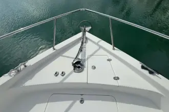 Thumbnail von SilverCat 40 CC 8267135