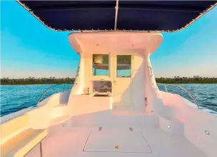 Thumbnail von SilverCat 40 CC 8267135