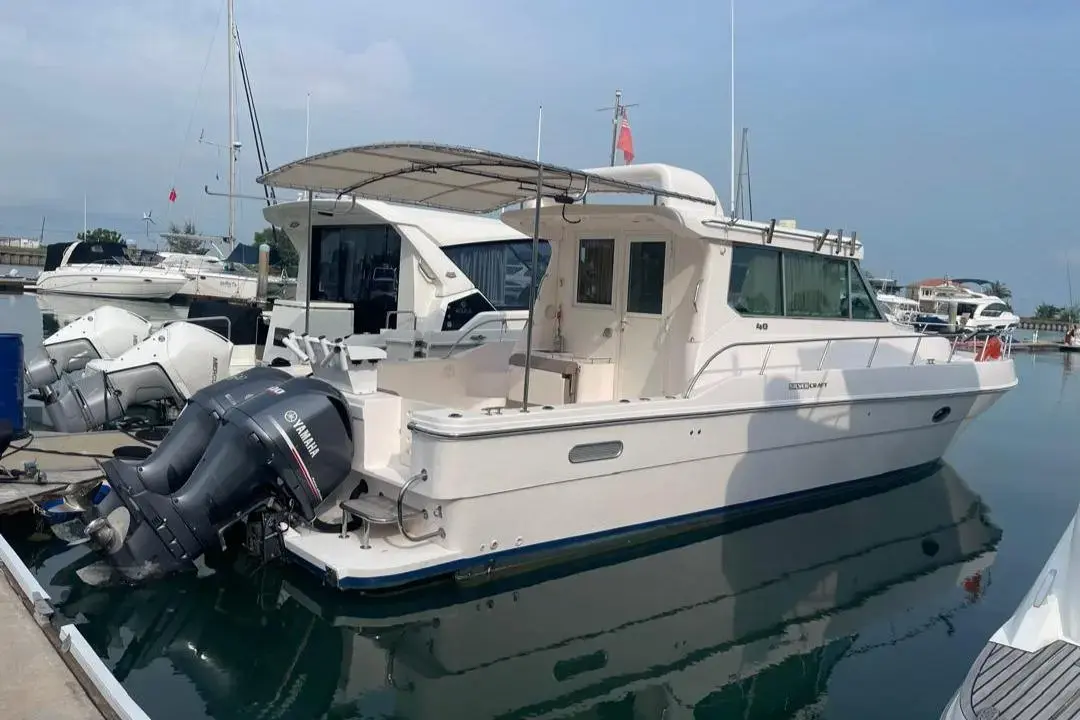 Thumbnail von SilverCat 40 CC 8267135