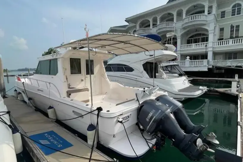 Thumbnail von SilverCat 40 CC 8267135