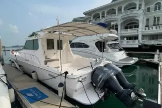 Thumbnail von SilverCat 40 CC 8267135