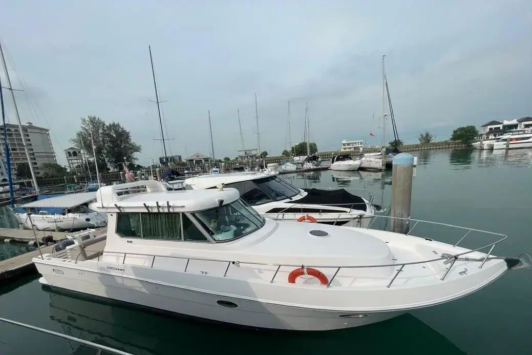 Thumbnail von SilverCat 40 CC 8267135