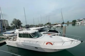 Thumbnail von SilverCat 40 CC 8267135