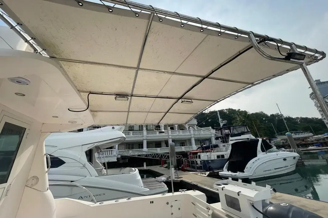 Thumbnail von SilverCat 40 CC 8267135