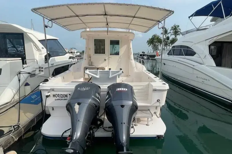 Thumbnail von SilverCat 40 CC 8267135