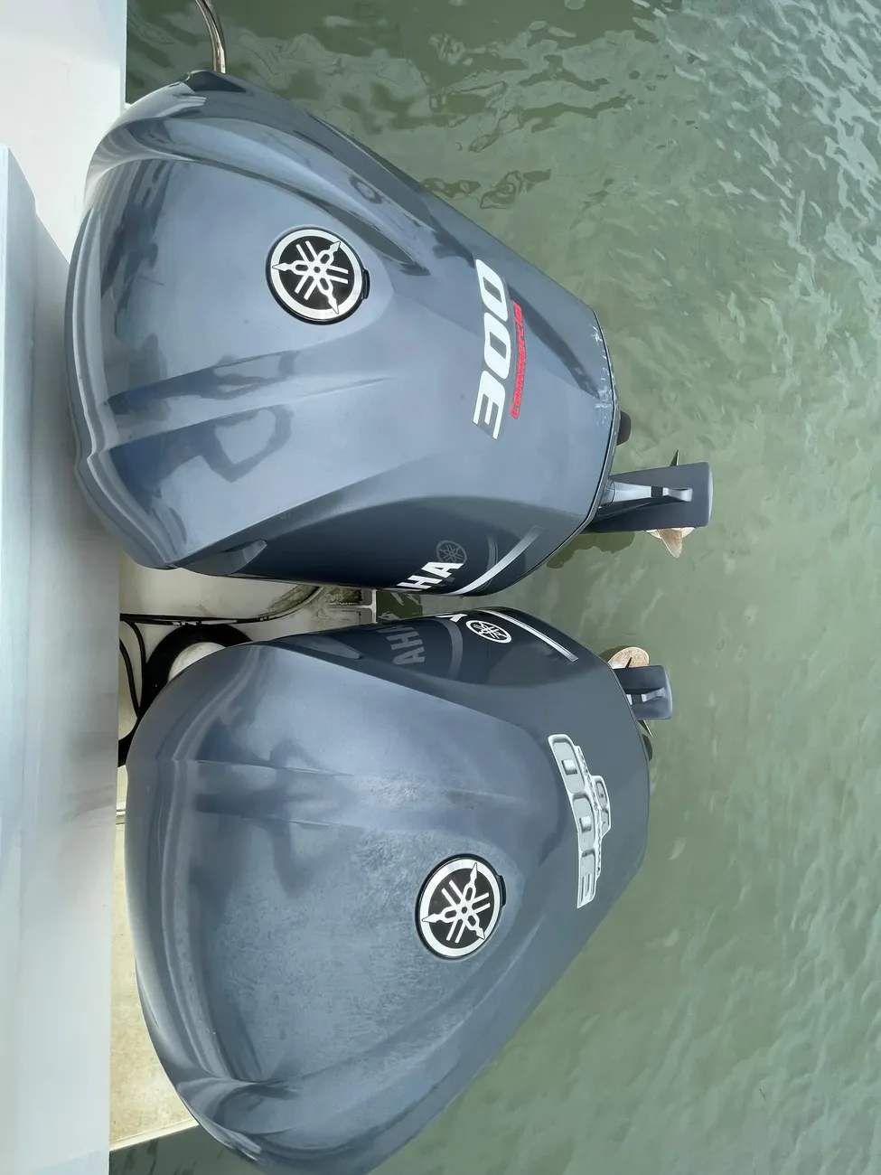 Thumbnail von SilverCat 40 CC 8267135