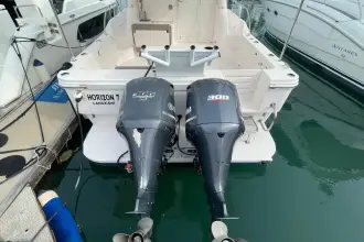 Thumbnail von SilverCat 40 CC 8267135