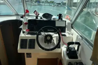 Thumbnail von SilverCat 40 CC 8267135