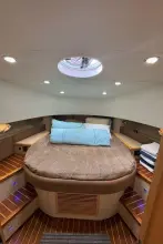 Thumbnail von SilverCat 40 CC 8267135