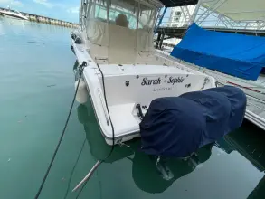 Thumbnail von Grady White Express 360  9818799