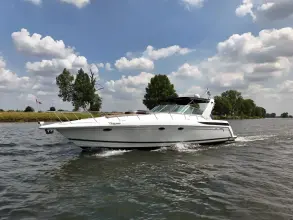 Thumbnail von Formula 41 PC