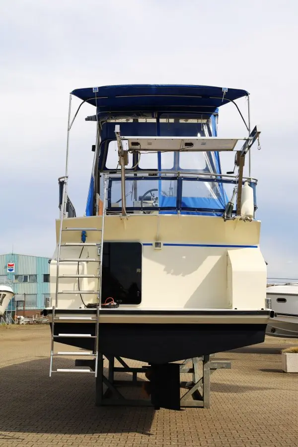 Thumbnail von Pedro 37