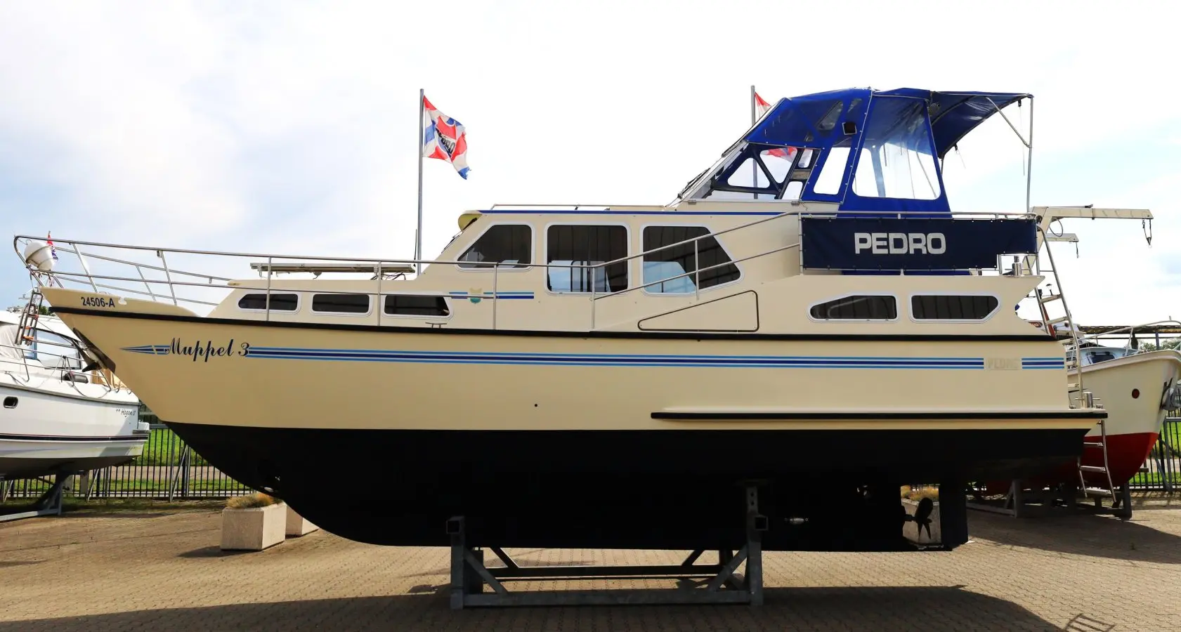 Thumbnail von Pedro 37