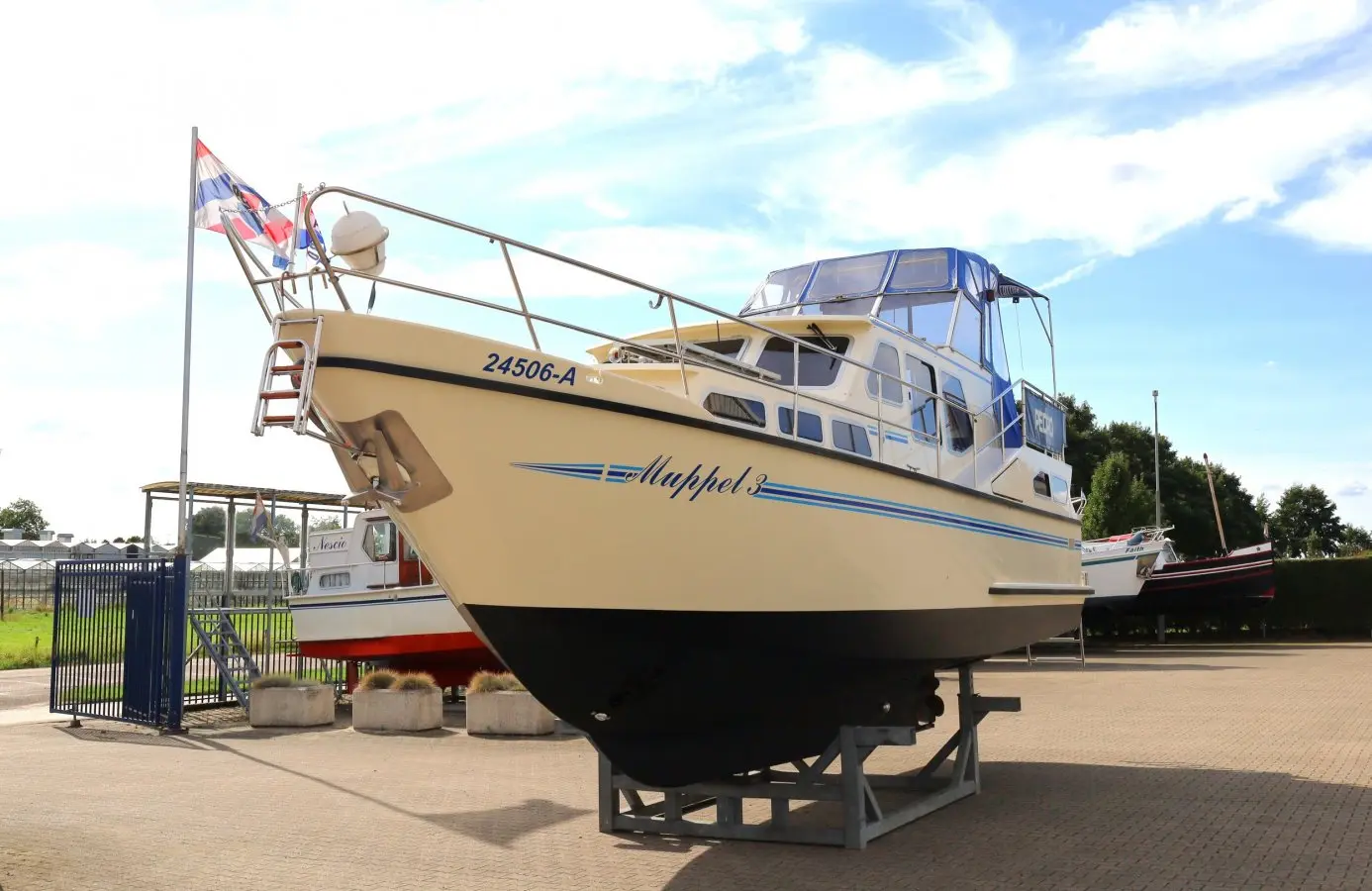 Thumbnail von Pedro 37