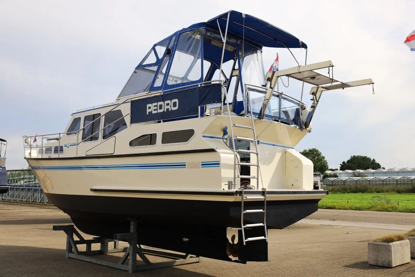 Thumbnail von Pedro 37