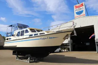 Thumbnail von Pedro 37