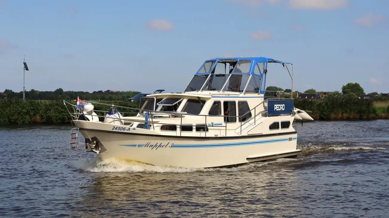 Thumbnail von Pedro 37