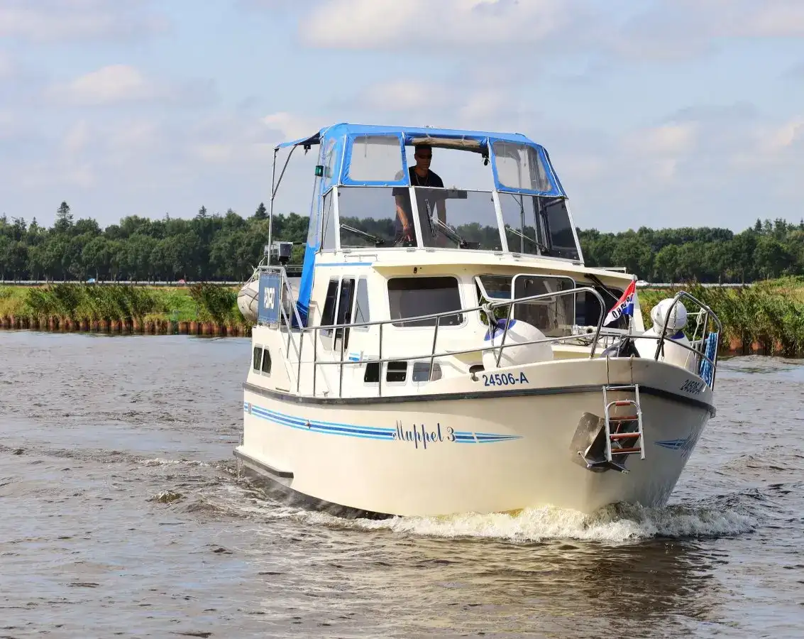 Thumbnail von Pedro 37