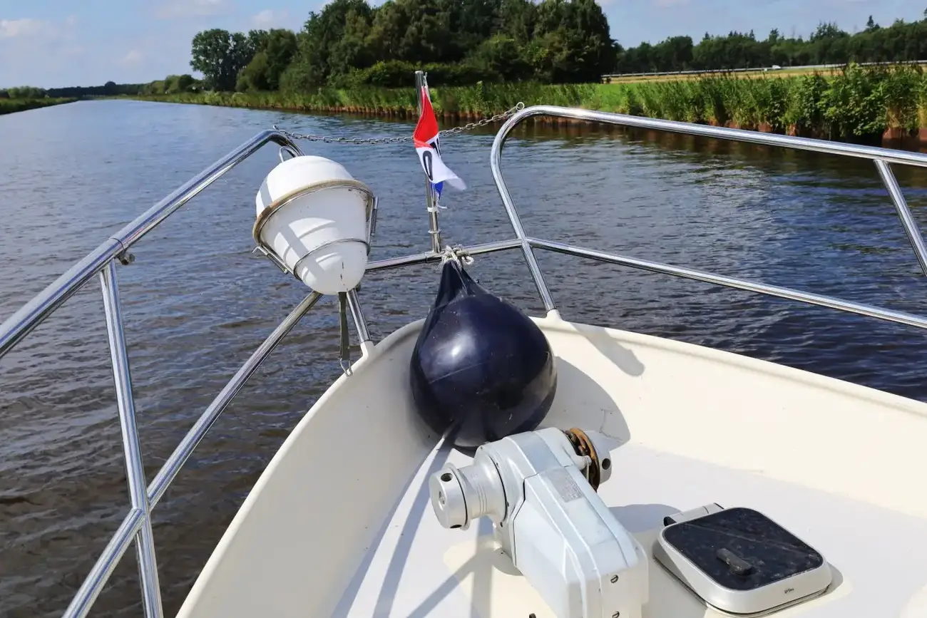 Thumbnail von Pedro 37