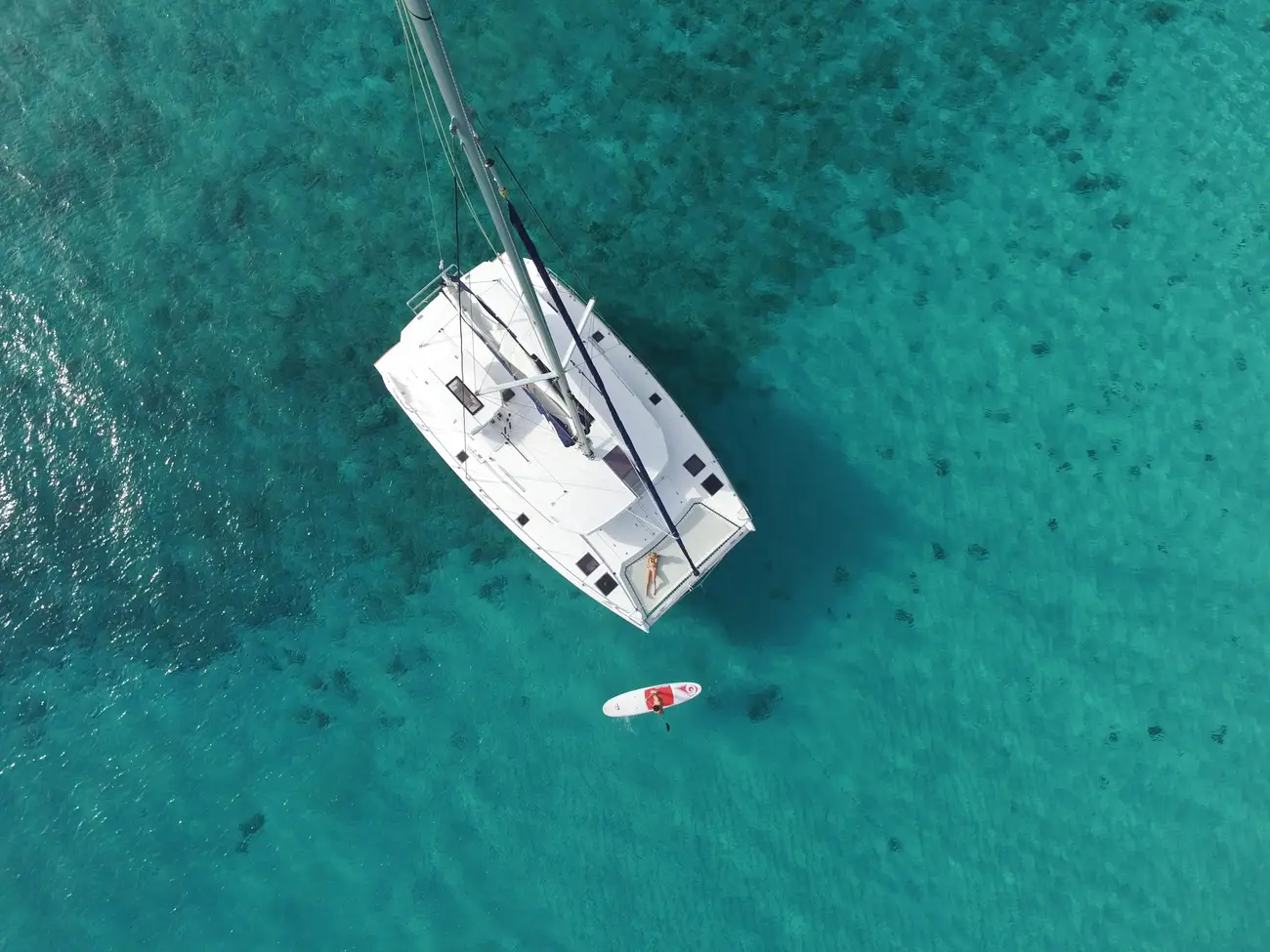 Thumbnail von Leopard 45 La Filouterie