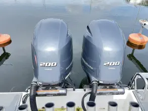 Thumbnail von Besenzoni 800 WA