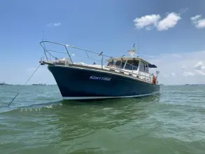 Thumbnail von Grand Banks 43 8364287