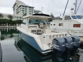 Thumbnail von Pursuit OS 385 8294890