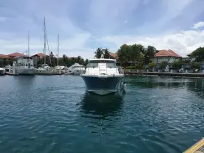 Thumbnail von Pursuit OS 385 8294890