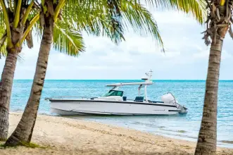 Thumbnail von Axopar 29 Sun Top 9665252