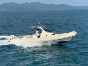 Thumbnail von Sacs Strider 11 LIMO